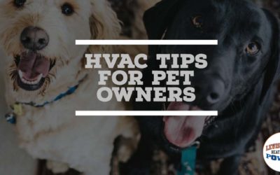 HVAC Maintenance For Pet Owners